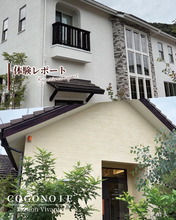画像294