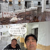 画像305